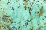 Bright Blue Apatite (Fluorapatite) Slab - Madagascar #338137-1